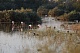 Загрязнение и нарушение водного баланса создают угрозу для водно-болотных угодий