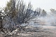Правительство платит почти 140 тысяч евро в качестве зарплат пострадавшим от пожара работникам