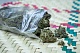 Житель Пафоса заключён под стражу после обнаружения почти 13 кг каннабиса
