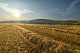 Температура приближается к 40 °C, уровень пыли повышается