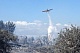 На Кипре зафиксировано 28 лесных пожаров в 2024 году